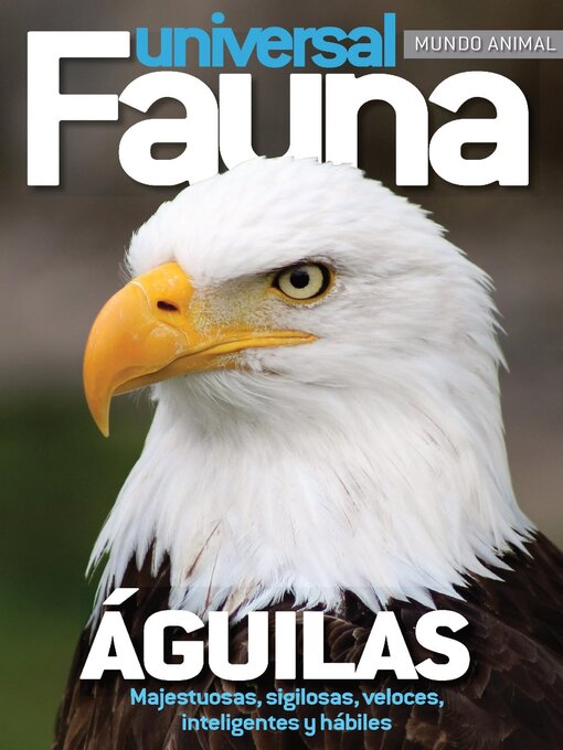 Cover image for Fauna Universal